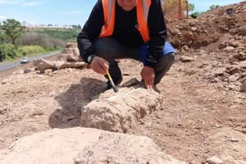 Descoberta de Possíveis Fósseis de Titanossauro na BR-050, no Triângulo Mineiro